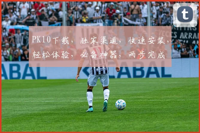 PK10下载，独家渠道，快速安装，轻松体验，必备神器，两步完成
