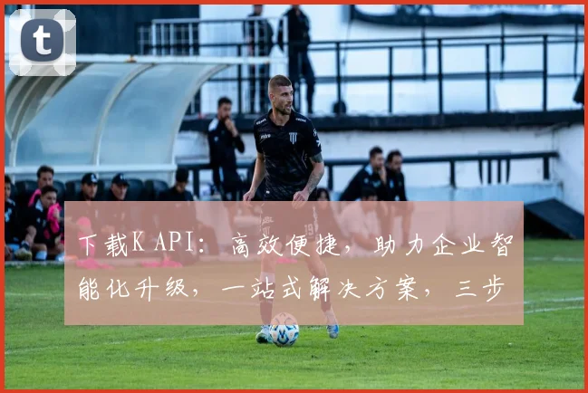 下载K API：高效便捷，助力企业智能化升级，一站式解决方案，三步轻松实现