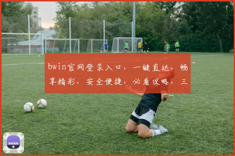 bwin官网登录入口，一键直达，畅享精彩，安全便捷，必看攻略，三大亮点揭示