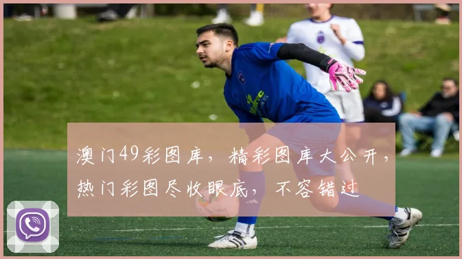 澳门49彩图库，精彩图库大公开，热门彩图尽收眼底，不容错过