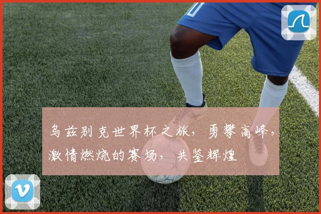 乌兹别克世界杯之旅，勇攀高峰，激情燃烧的赛场，共鉴辉煌